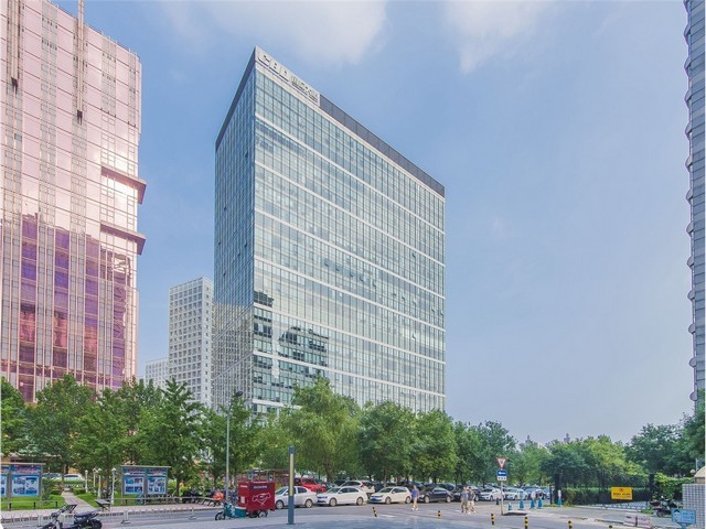 厦门纯棉polo衫T恤